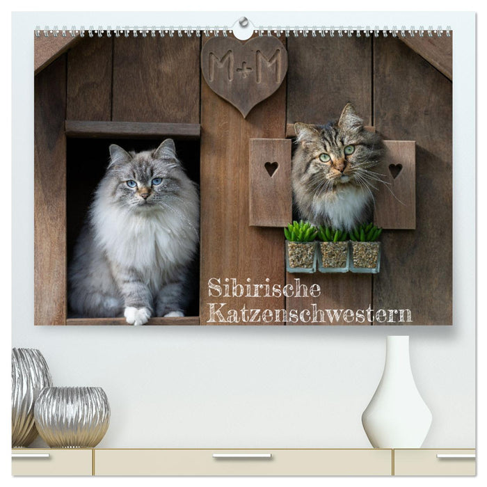 Maui et Molokai – Sœurs chats sibériennes (calendrier mural CALVENDO Premium 2024) 