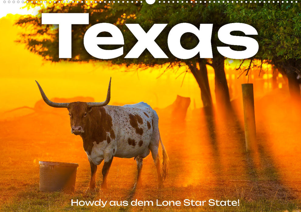 Texas - Howdy aus dem Lone Star State! (CALVENDO Wandkalender 2024)