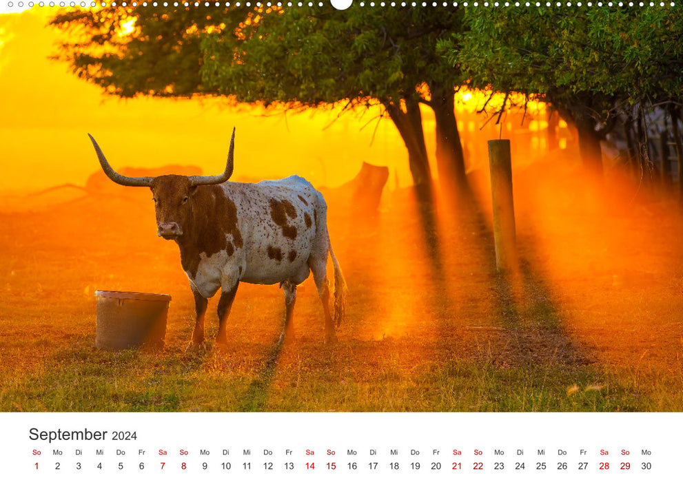 Texas - Howdy from the Lone Star State! (CALVENDO Premium Wall Calendar 2024) 