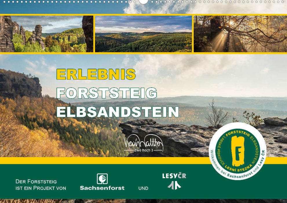 Erlebnis Forststeig Elbsandstein (CALVENDO Wandkalender 2024)