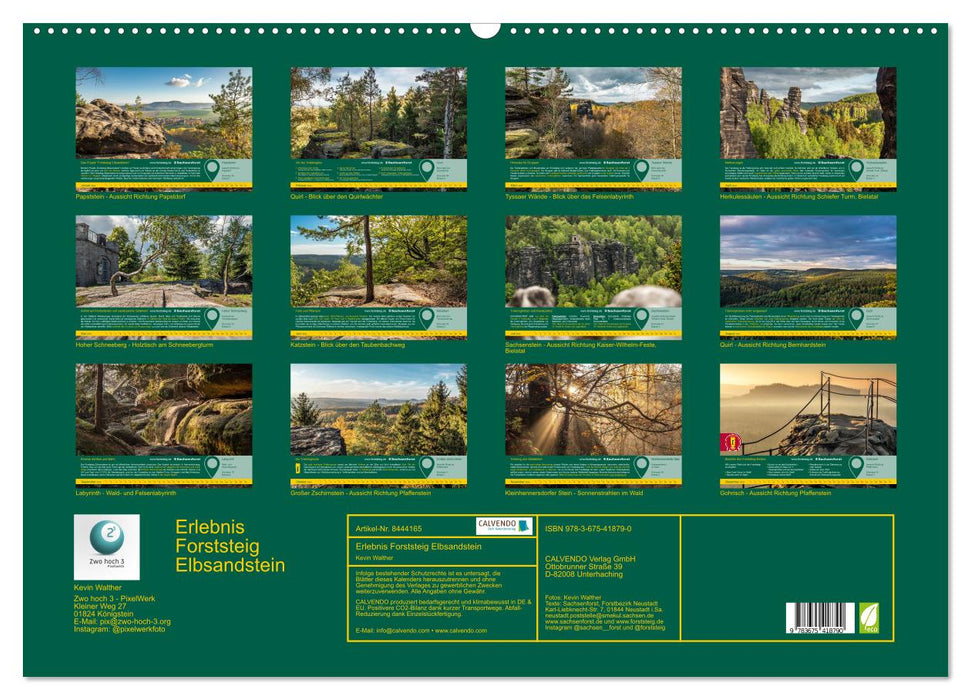 Erlebnis Forststeig Elbsandstein (CALVENDO Wandkalender 2024)