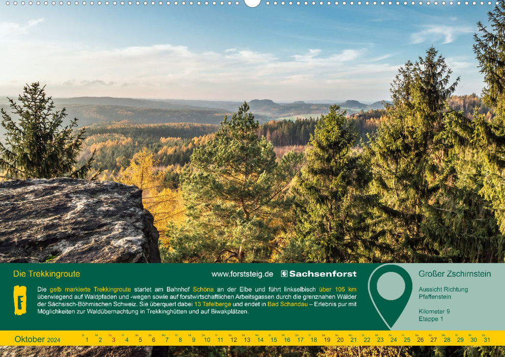 Erlebnis Forststeig Elbsandstein (CALVENDO Premium Wandkalender 2024)