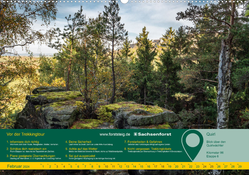 Experience Forststeig Elbe Sandstone (CALVENDO Premium Wall Calendar 2024) 