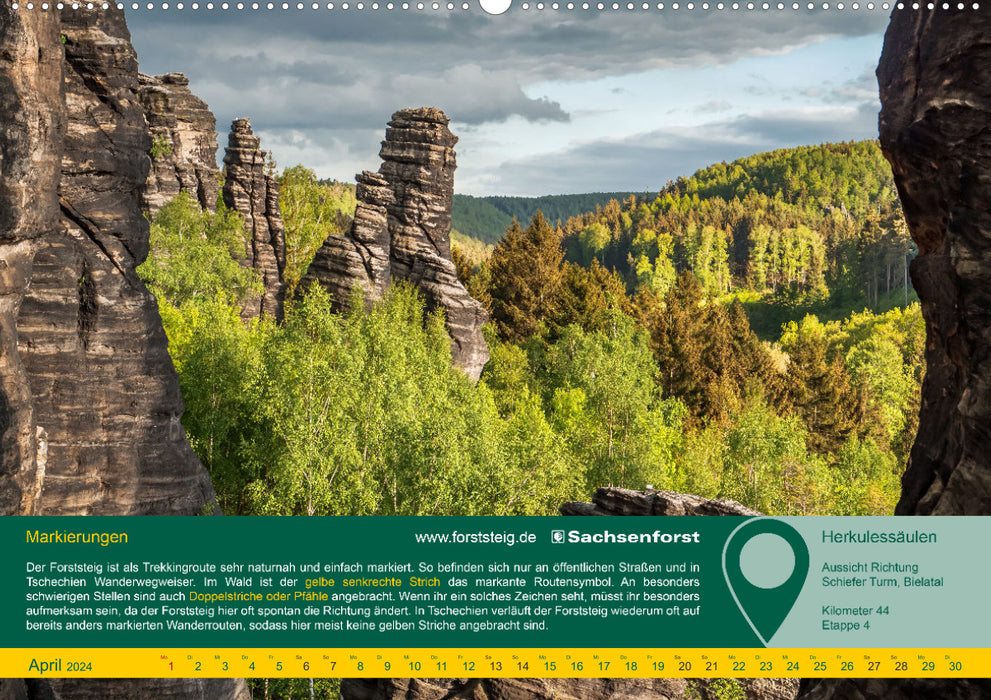 Experience Forststeig Elbe Sandstone (CALVENDO Premium Wall Calendar 2024) 