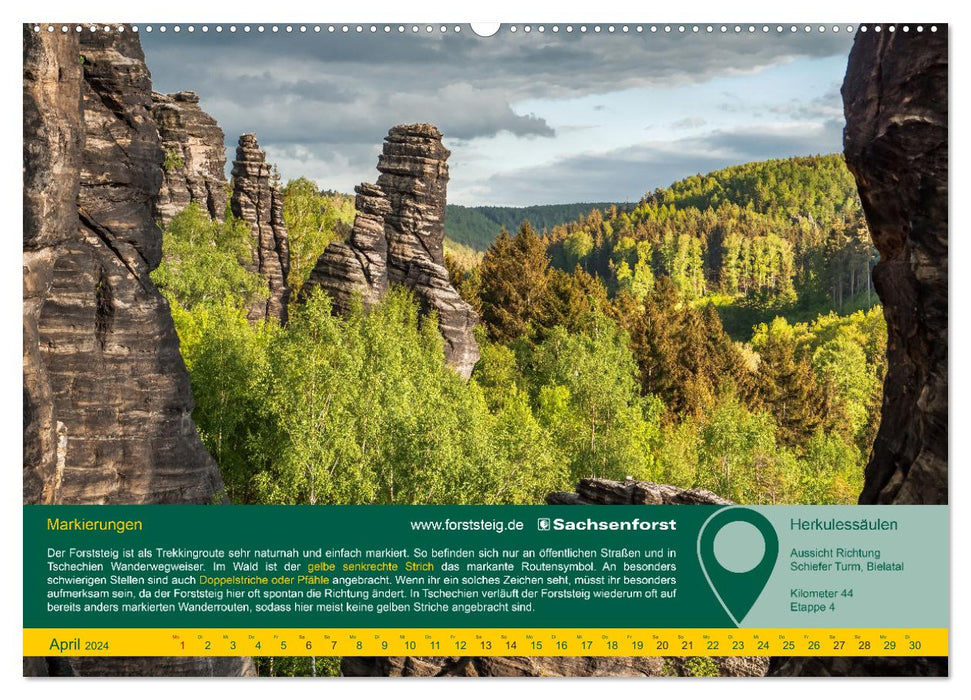 Erlebnis Forststeig Elbsandstein (CALVENDO Premium Wandkalender 2024)