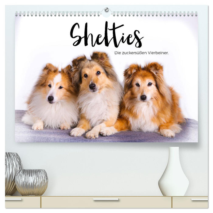 Shelties - Die zuckersüßen Vierbeiner. (CALVENDO Premium Wandkalender 2024)