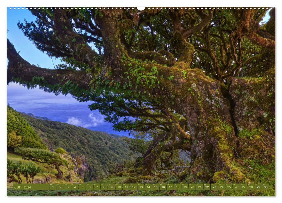 Madeira - Frühlingsinsel im Atlantik (CALVENDO Wandkalender 2024)