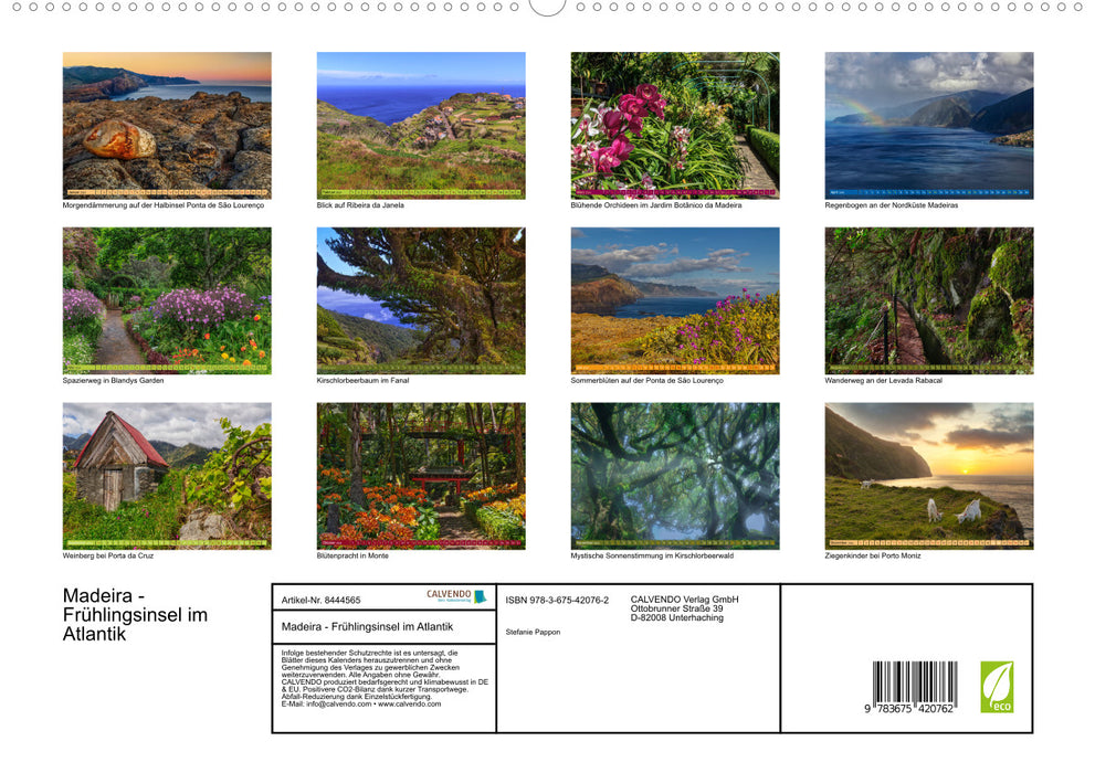 Madeira - Frühlingsinsel im Atlantik (CALVENDO Premium Wandkalender 2024)