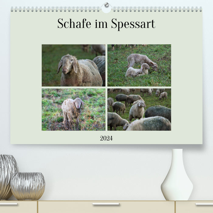 Schafe im Spessart (CALVENDO Premium Wandkalender 2024)