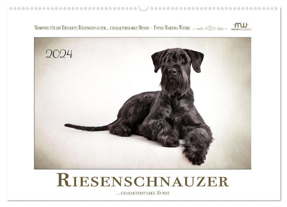 Riesenschnauzer... charakterstarke Hunde (CALVENDO Wandkalender 2024)