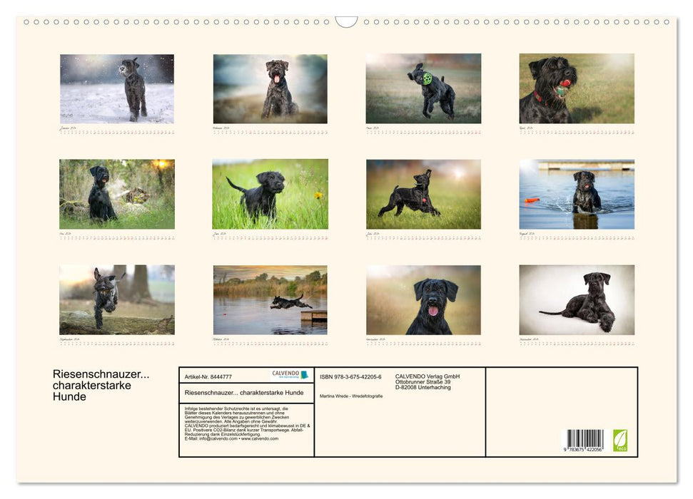 Riesenschnauzer... charakterstarke Hunde (CALVENDO Wandkalender 2024)