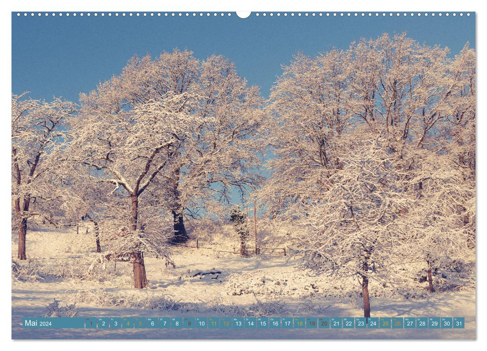 Winter in the Meissen Hinterland (CALVENDO Premium Wall Calendar 2024) 