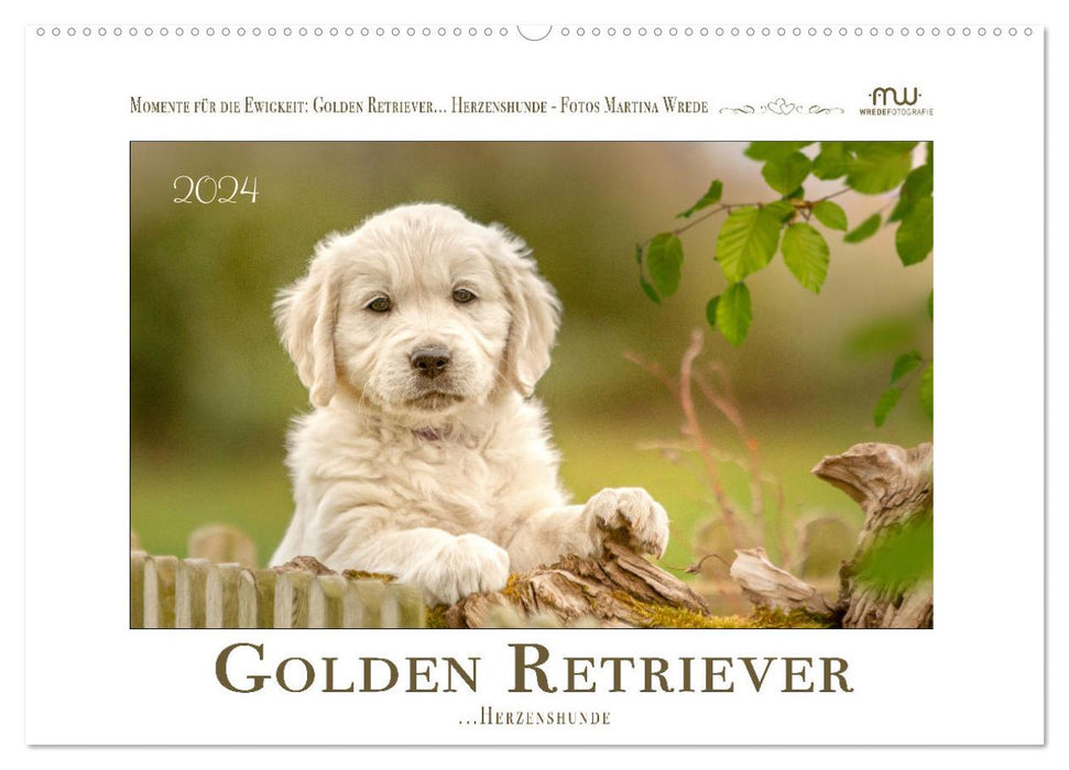 Golden Retriever... Herzenshunde (CALVENDO Wandkalender 2024)