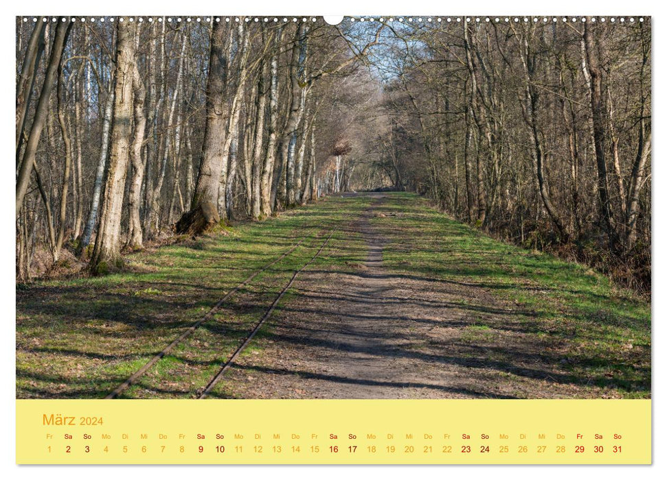 Spaziergang im Himmelmoor (CALVENDO Wandkalender 2024)