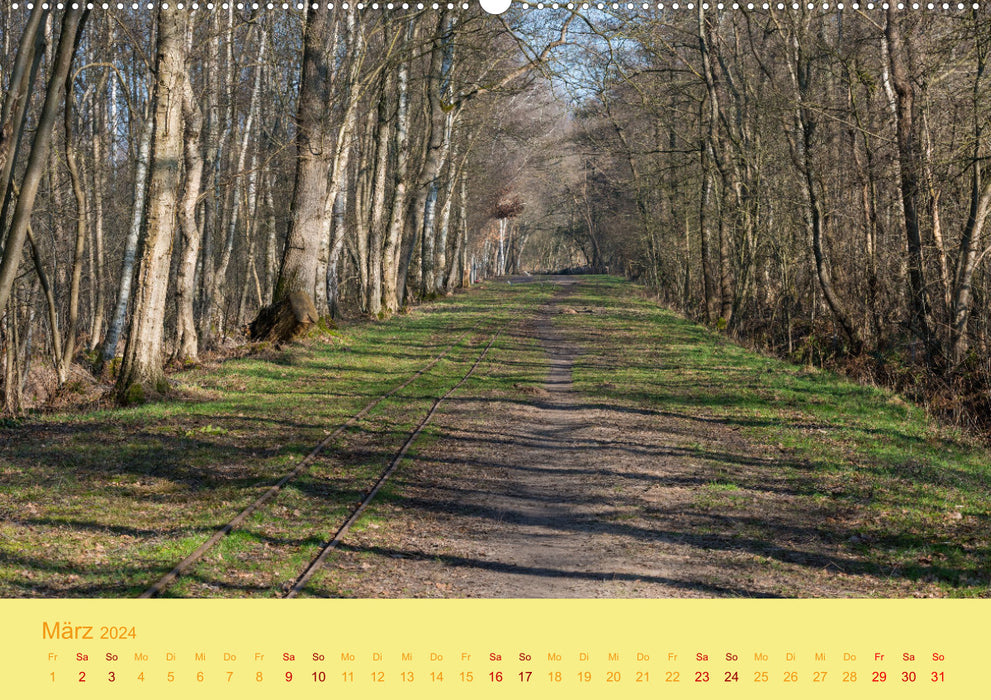 Spaziergang im Himmelmoor (CALVENDO Premium Wandkalender 2024)