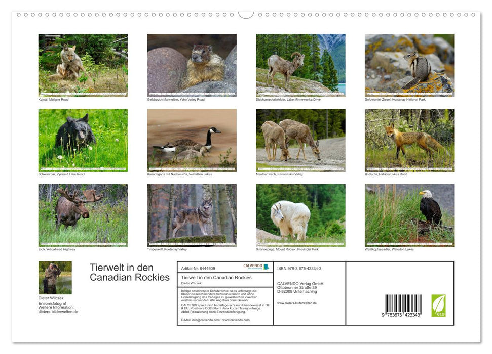 Tierwelt in den Canadian Rockies (CALVENDO Premium Wandkalender 2024)