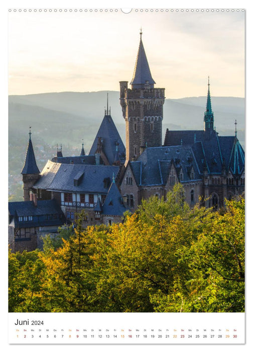 Stadt Wernigerode (CALVENDO Wandkalender 2024)