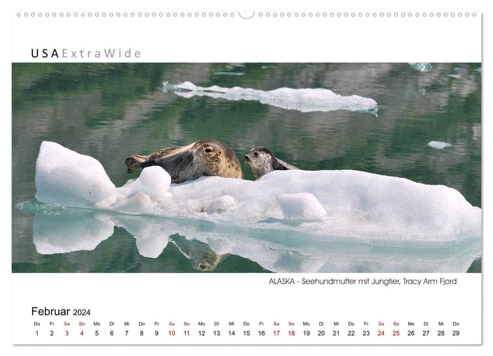 Entdeckungsreise durch ALASKA Panoramabilder (CALVENDO Wandkalender 2024)