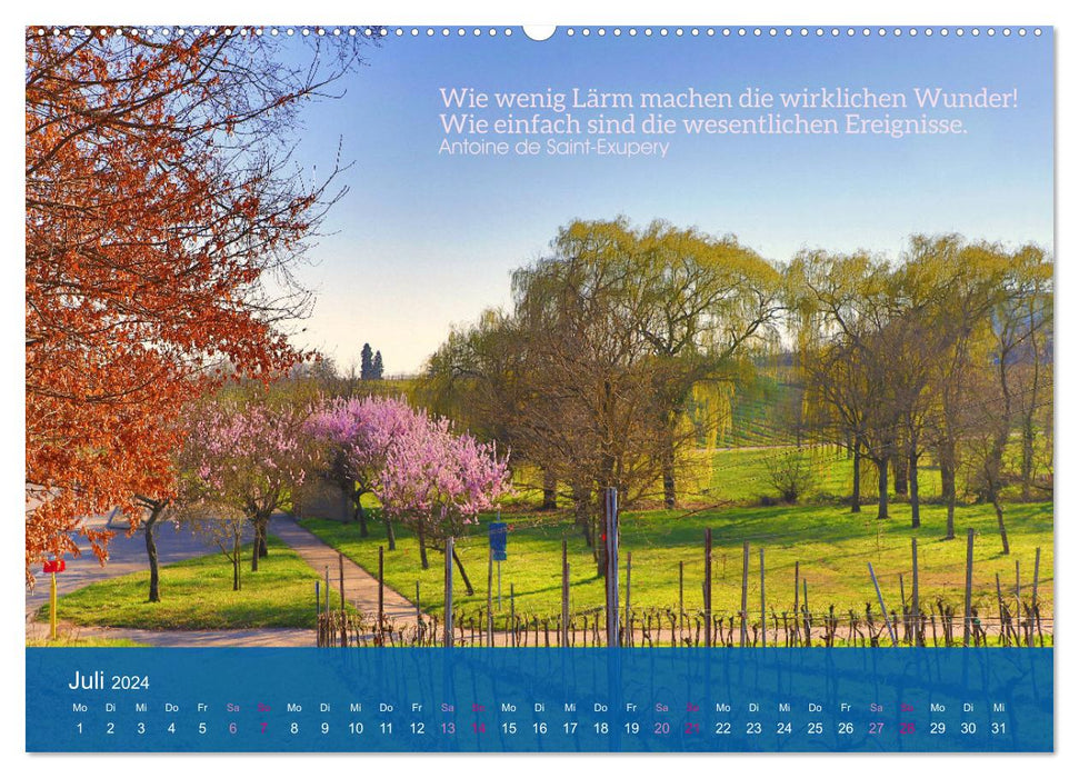 FASCINATION OF ALMOND BLOSSOM (CALVENDO Premium Wall Calendar 2024) 