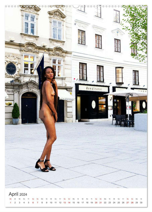 Erotik Tour Vienna (CALVENDO Premium Wandkalender 2024)