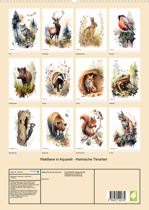 Waldtiere in Aquarell - Heimische Tierarten (CALVENDO Premium Wandkalender 2024)