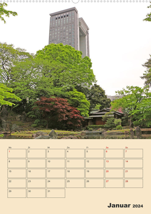 Tokyo - Appointment Planner (CALVENDO Wall Calendar 2024)