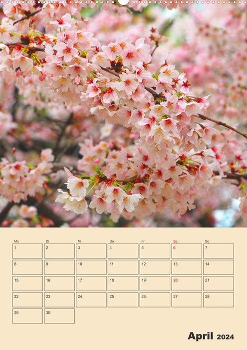 Tokio - Terminplaner (CALVENDO Premium Wandkalender 2024)