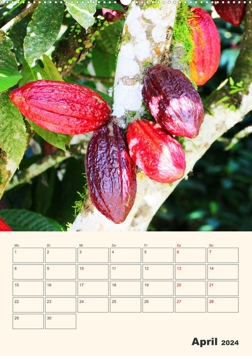 Équateur – Planificateur de rendez-vous (Calvendo Premium Wall Calendar 2024) 