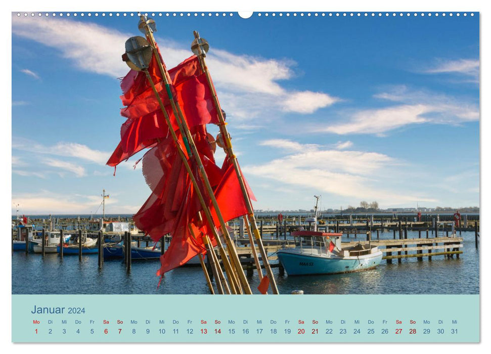 Stille an der Schlei und Ostsee (CALVENDO Premium Wandkalender 2024)