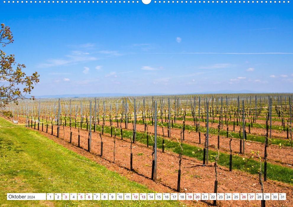 Wine landscapes (CALVENDO wall calendar 2024) 