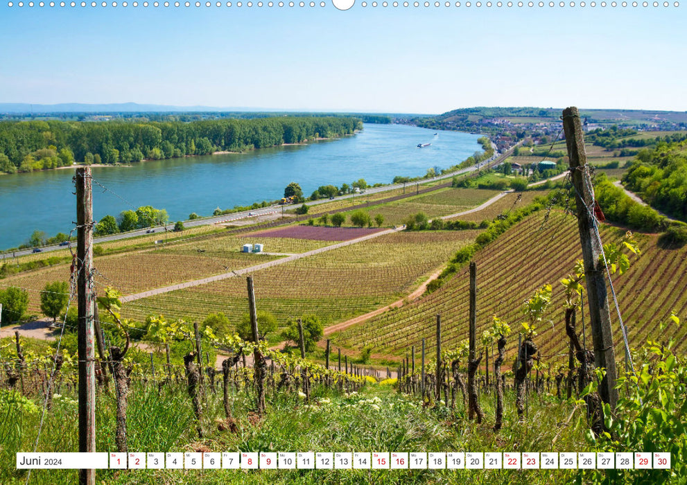 Wine landscapes (CALVENDO Premium wall calendar 2024) 