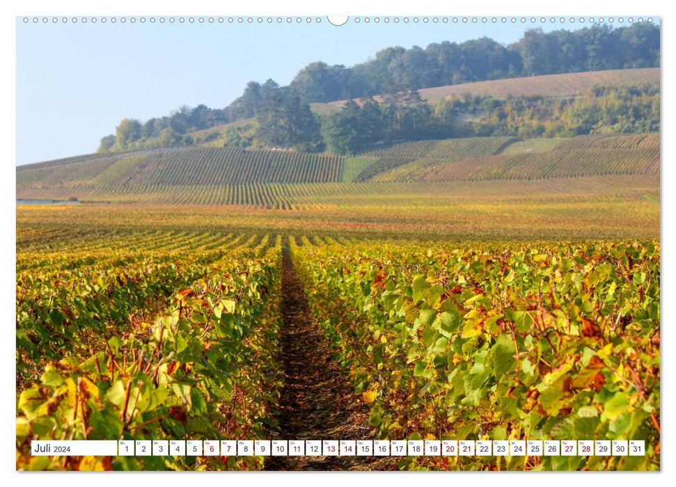 Paysages viticoles (Calendrier mural CALVENDO Premium 2024) 