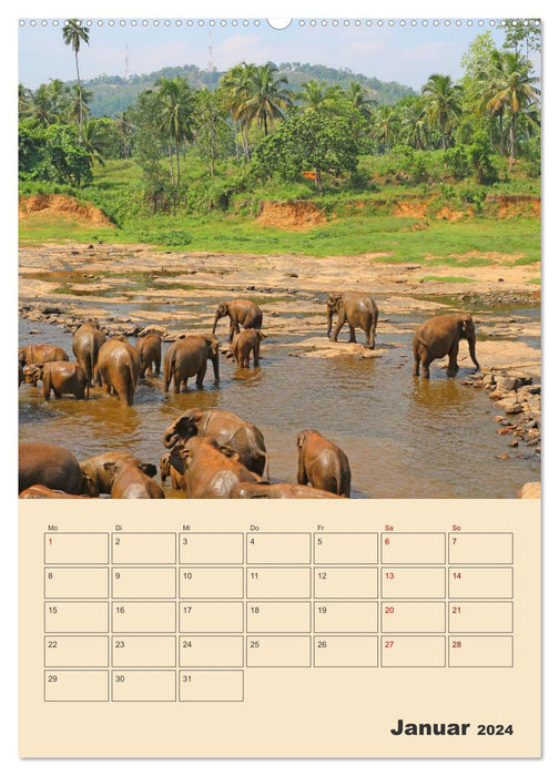 Sri Lanka - Terminplaner (CALVENDO Wandkalender 2024)