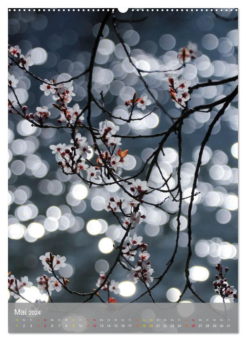 Mit Bokeh-Fotografie durch das Jahr (CALVENDO Wandkalender 2024)