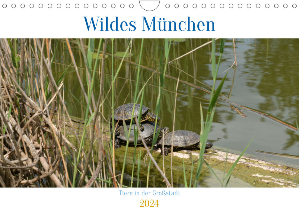 Wildes München (CALVENDO Wandkalender 2024)