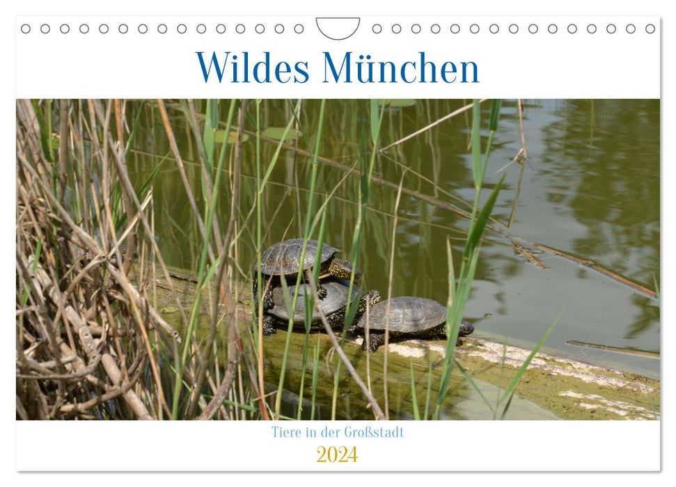 Wildes München (CALVENDO Wandkalender 2024)