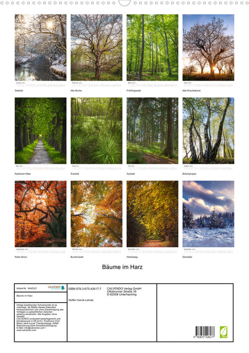 Trees in the Harz (CALVENDO wall calendar 2024) 