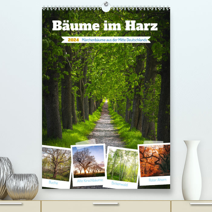 Trees in the Harz (CALVENDO Premium Wall Calendar 2024) 