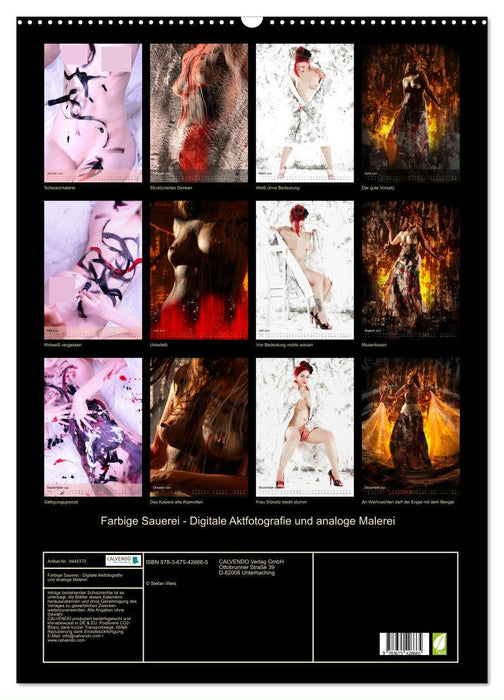 Farbige Sauerei - Digitale Fotografie und analoge Malerei (CALVENDO Wandkalender 2024)