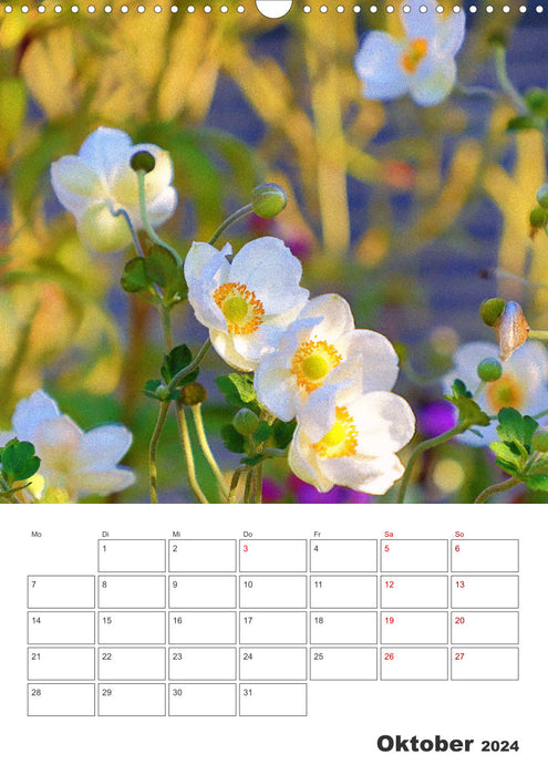 BLOOM MAGIC (CALVENDO wall calendar 2024) 