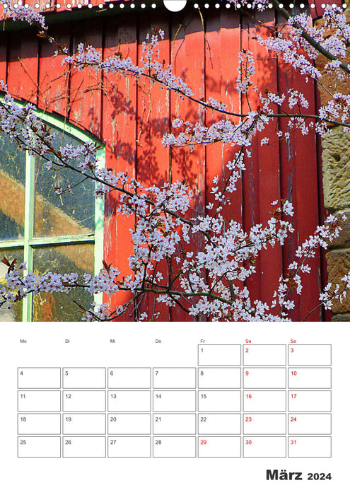 BLOOM MAGIC (CALVENDO wall calendar 2024) 