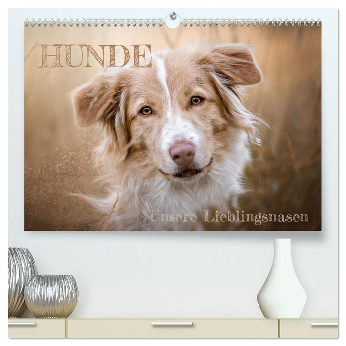Hunde - Unsere Lieblingsnasen (CALVENDO Premium Wandkalender 2024)
