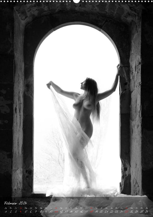 The Naked Door – Photographie de nu en extérieur en noir et blanc (Calendrier mural CALVENDO Premium 2024) 