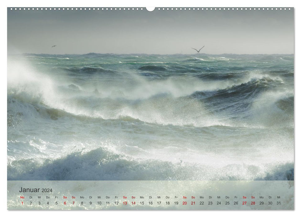 Concert de vagues (Calendrier mural CALVENDO Premium 2024) 