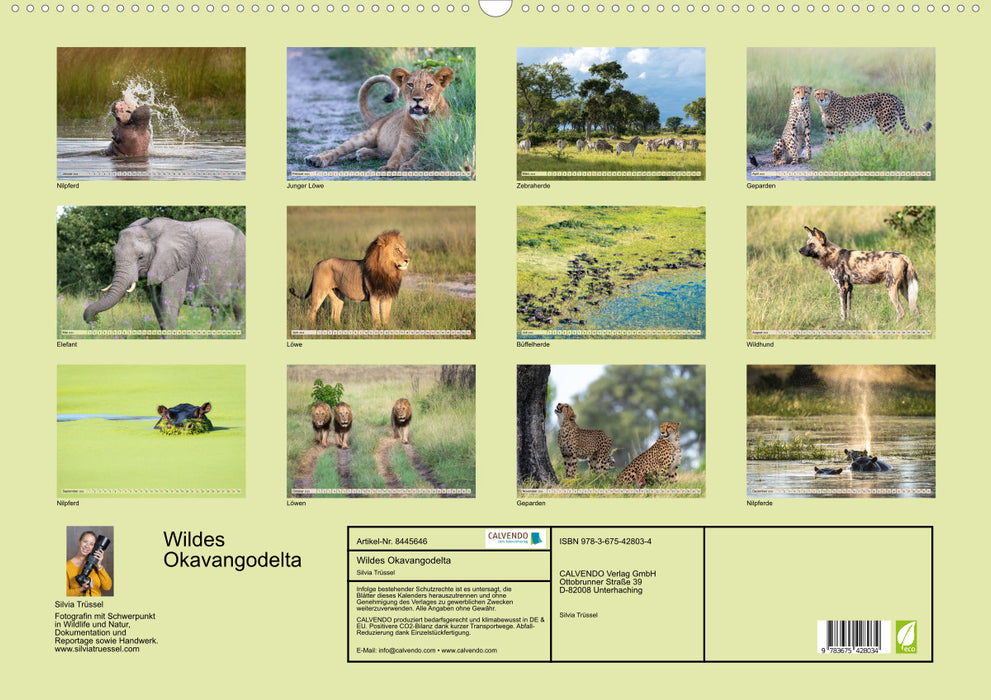 Delta sauvage de l’Okavango (calendrier mural CALVENDO 2024) 