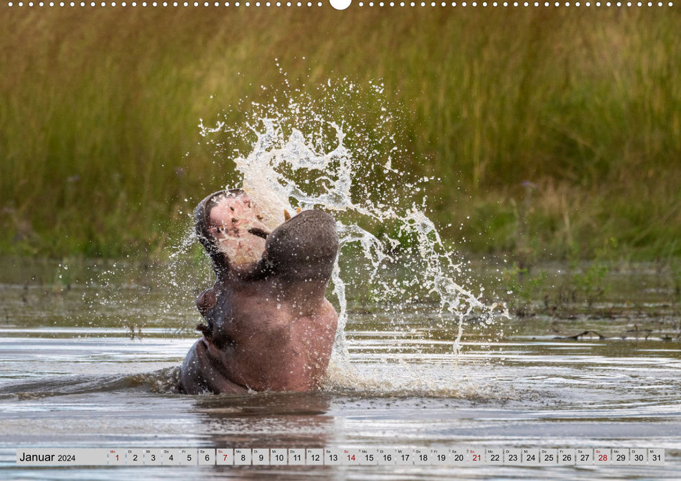 Wildes Okavangodelta (CALVENDO Wandkalender 2024)