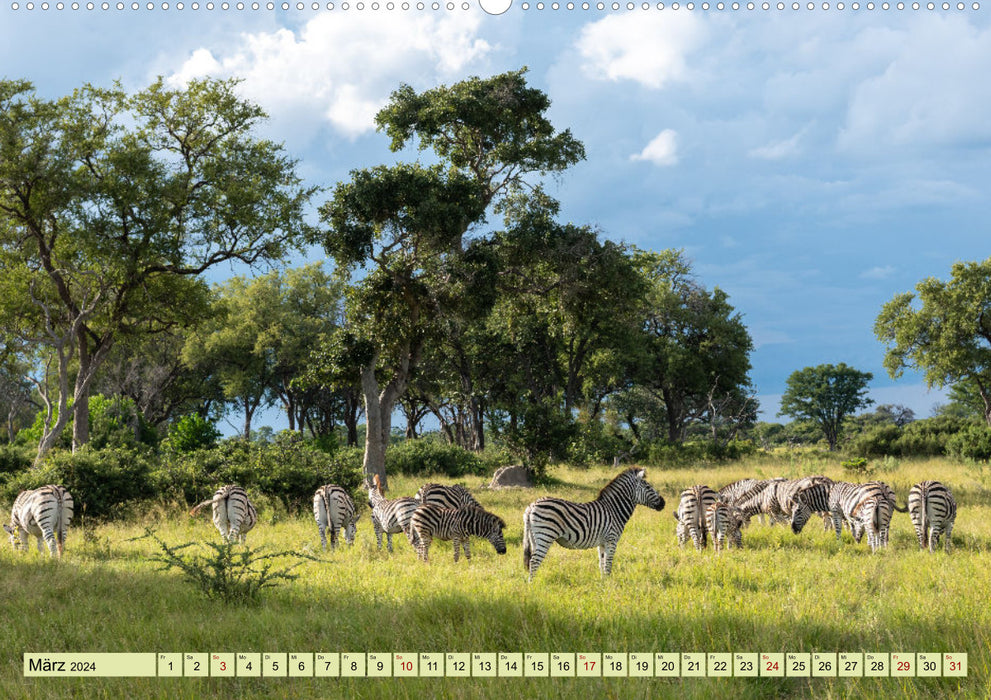 Wild Okavango Delta (CALVENDO wall calendar 2024) 