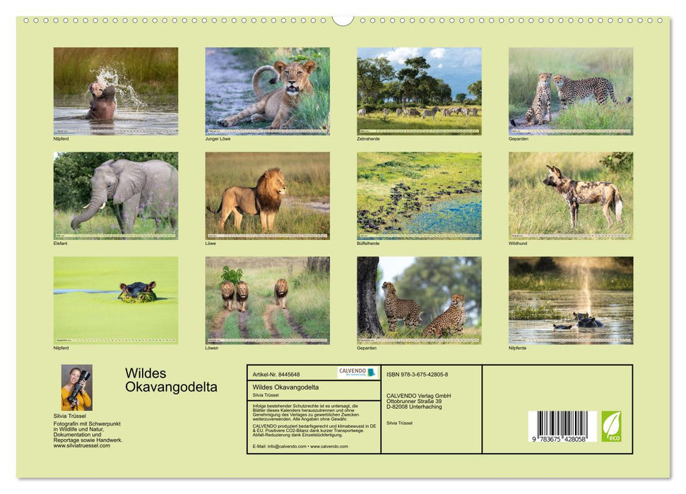 Delta sauvage de l'Okavango (Calvendo Premium Calendrier mural 2024) 