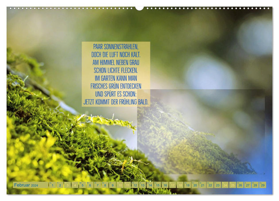 Stimmungsreigen Gefühlvolle Texte und Bilder (CALVENDO Premium Wandkalender 2024)