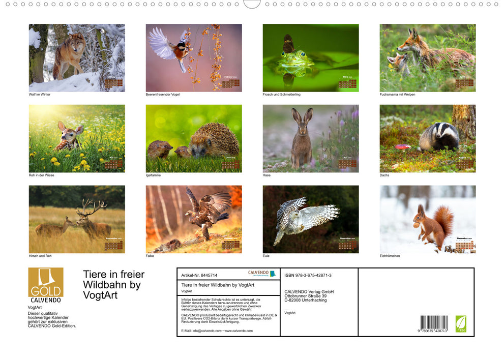 Animals in the wild by VogtArt (CALVENDO wall calendar 2024) 
